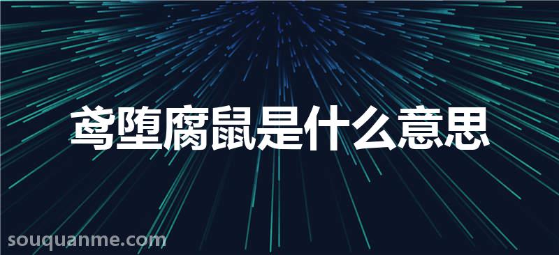 鸢堕腐鼠是什么意思 鸢堕腐鼠的拼音 鸢堕腐鼠的成语解释